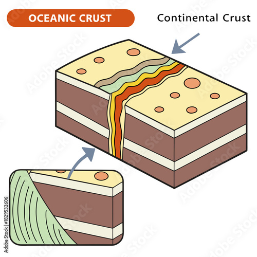 Explore Earth's Oceanic and Continental Crust Layers, a Geological Model Revealing Plate Tectonics, Perfect for Science Education and Earth Science Presentations