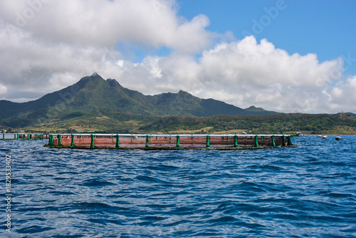 Tablou pe pânză A fish farm in Mauritius showing aquaculture ponds used for fish cultivation, surrounded by natural tropical landscape