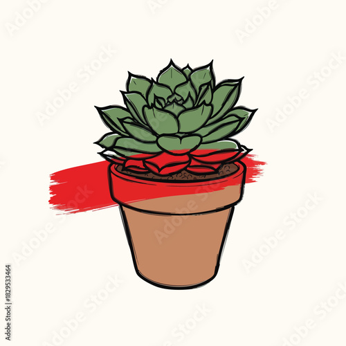 A vibrant succulent plant in a terracotta pot with a bold red brushstroke accent.