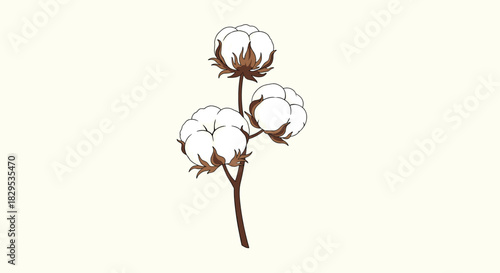 A detailed illustration of three fluffy white cotton bolls on a brown stem, depicting natural fibers ready for harvest.