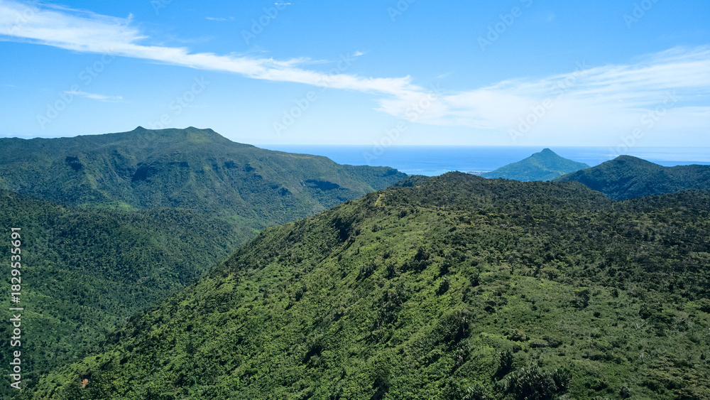 Naklejka premium A breathtaking aerial panoramic view of Black River Gorges National Park in Mauritius captured from a helicopter. The image showcases dense tropical forests, dramatic mountain landscapes, deep valleys