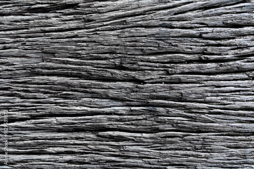 Close-up texture of old dry wood with natural cracks and layers, perfect for rustic backgrounds, organic designs or vintage nature creative projects. Grunge texture background and monochrome.