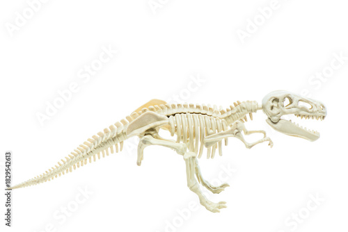 Children's plastic toy of a rex dinosaur skeleton on white