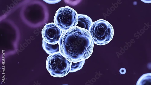 Extremely slow motion close-up of spherical microscopic organisms floating and gently rotating against a deep purple background in a nutrient medium cellular structure, abstract visualization