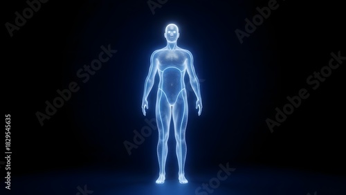Human body hologram projection displaying anatomy and physiology on dark background