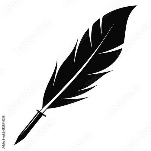 Single feather quill is isolated against a white backdrop; the silhouette exudes artistry