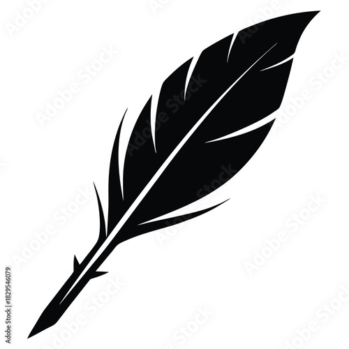 A black feather is displayed with sharp quills over the white surface