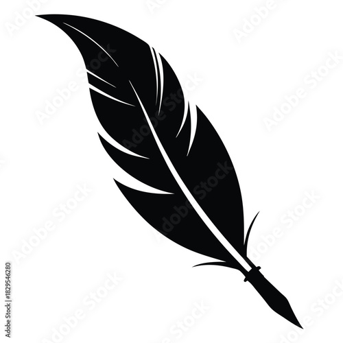 Single black feather quill presents a classic design against a solid white backdrop here