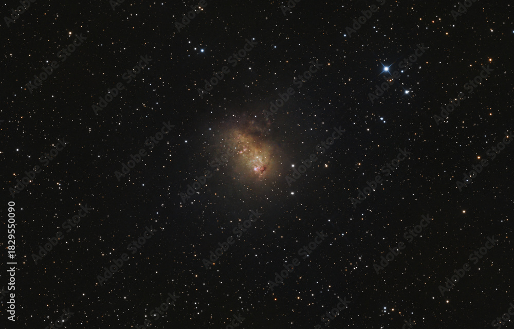 Fototapeta premium Starburst galaxy (also known as IC 10) in Cassiopeia constellation, taken with amateur telescope.