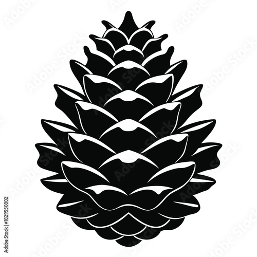 Isolated pinecone in black and white shows the beauty of winter nature clearly
