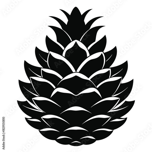 Striking black pinecone silhouette shows a simplistic yet artistic woodland plant on white background