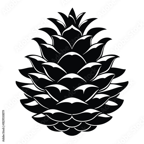 Detailed monochrome pinecone showcases scale pattern and natural layers, creating a simple yet elegant appearance