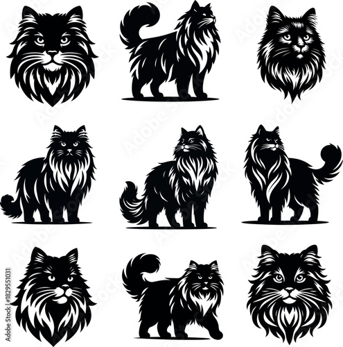 Expressive Siberian cat silhouette set perfect for pet themed prints and digital artwork .