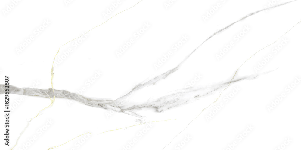 Fototapeta premium Tile Texture