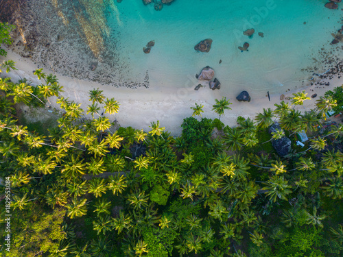 Tropical green forest island sea beach wave tranquil nature summer vacation