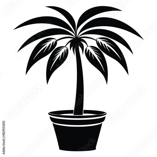 Black palm tree silhouette grows inside a simplistic pot isolated on a white background
