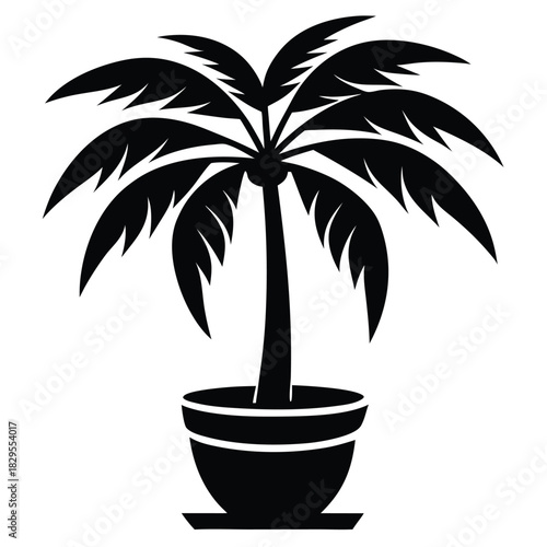 Isolated black silhouette of palm tree in pot gives tropical vibe with style