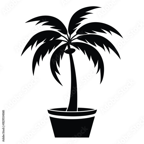 Isolated tropical potted palm tree silhouette presents a simple potted plant for designs