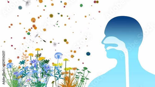 3D animation of the upper respiratory system (ENT) alongside flowers, plants, and pollen that triggers spring allergies. Front view with a flat color graphic style on a white background.
