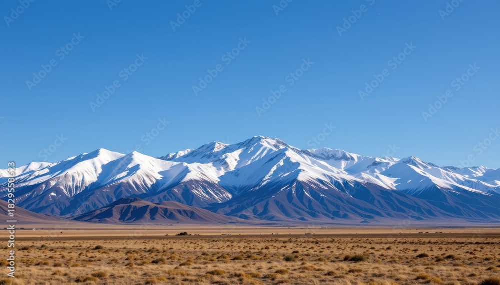 Fototapeta premium Majestic snow capped mountain range dominates clear blue sky above arid golden foreground plain