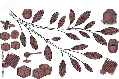 Hand drawn honey jars, bee hive, flying bee, honeycomb block, floral leaves, blooming flower, honey dipper, natural organic sweet beekeeping illustration set