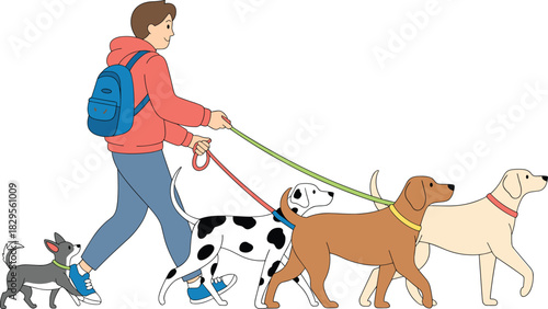 Person walking multiple dogs on leashes pet sitter dog walker outdoor walk cartoon illustration animal care canine training friendly concept