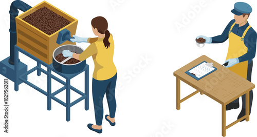 Isometric coffee processing workers inspecting roasted beans quality control drying tray production equipment food industry manufacturing illustration workplace