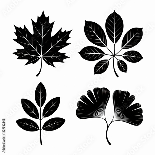 A clean, vector illustration featuring four distinct, stylized deciduous leaves rendered in solid black silhouette against a pure white background. 