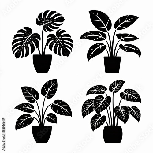 A minimalist, vector-style illustration of four potted houseplants arranged in a 2x2 grid against a stark white background. 