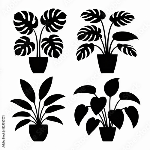A minimalist, graphic illustration composed of four distinct potted plant silhouettes against a stark white background.