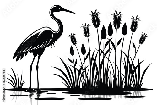 Elegant heron stands gracefully amidst reeds, its reflection shimmering on the calm water surface