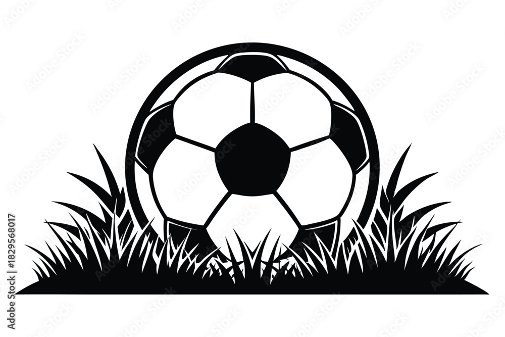 Obraz premium shows the black and white soccer ball resting in a grassy field