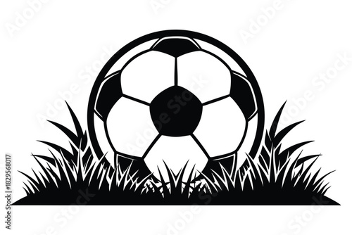 shows the black and white soccer ball resting in a grassy field