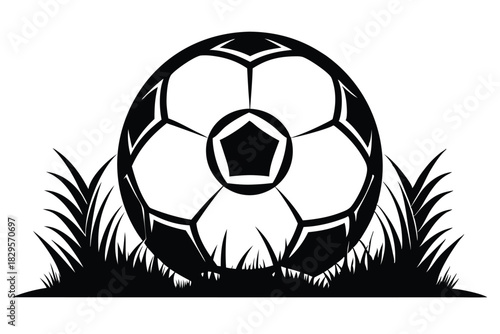 Black and white soccer ball rests amidst tall grass, creating a sporting field scene