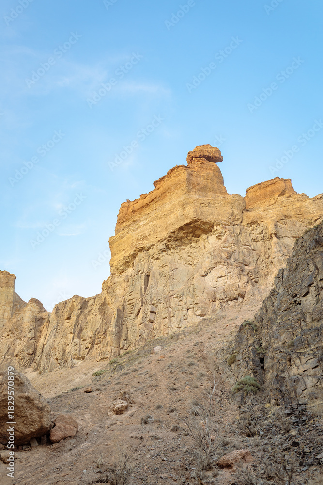 Fototapeta premium The Valley of Castles in the Charyn Canyon in Kazakhstan - Wild Nature, Desert Landscape, and Blue Sky.