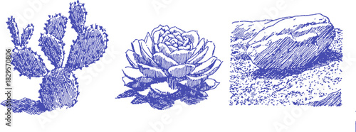 A blue drawing of a cactus, a rose, and a rock. The cactus is on the left, the rose is in the middle. vector illustration