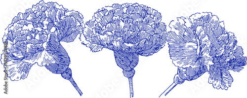 Three blue flowers are drawn in a line. The flowers are very close to each other. vector illustration