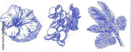 A blue drawing of a flower, a leaf, and a branch. The flower is a hibiscus. vector illustration