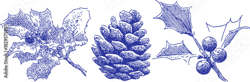 A blue drawing of three different types of leaves and a pine cone. The pine cone is located in the middle of the drawing. vector illustration