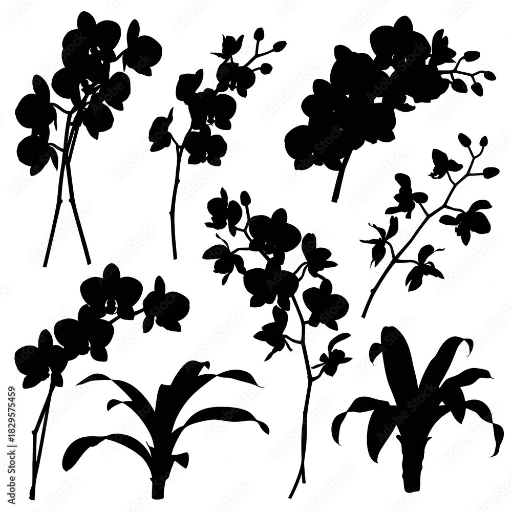 Naklejka premium Create a series of black silhouette illustrations of various orchids and bromeliads against a stark white background. 