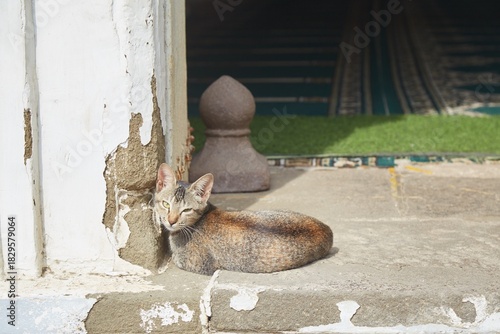 Panchaki in Aurangabad, a medieval water mill and tomb of Hazrat Baba Shah