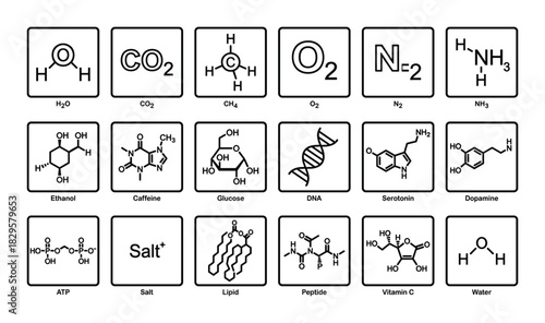 Set of chemistry vector icons showing structures of water, carbon dioxide, methane, oxygen, nitrogen, and ammonia