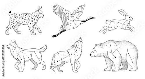 Celestial animal collection featuring a lynx bear and wolf with star constellations creating a magical and mystical astrology theme.