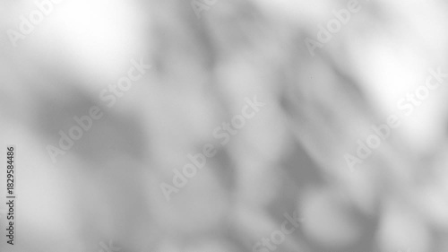 Wall interior background, studio and backdrops show products.with shadow from window color white and grey. background for text insertion and presentation product	