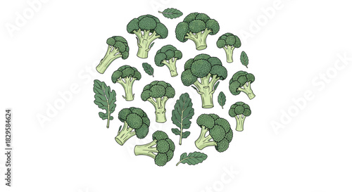 Circular arrangement of fresh green broccoli florets and leaves in a healthy food composition on a clean white background.