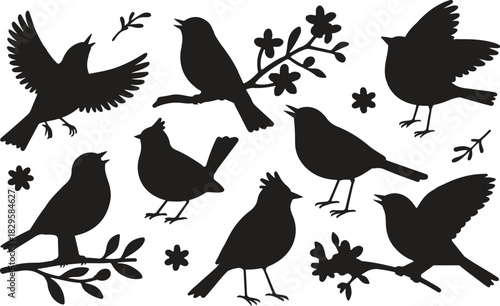 Bird Silhouette Collection – Nature and Wildlife Elements"