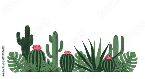 Horizontal border of various cacti succulents and tropical monstera leaves creating a lush desert and jungle plant composition.