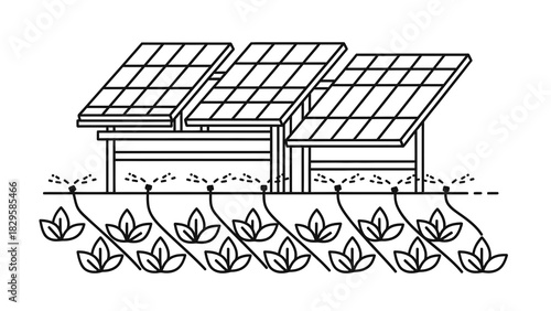 Illustration of solar panels above crops using drip irrigation system