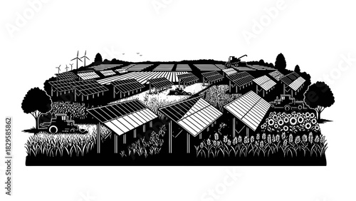 Agrivoltaics system showing solar panels integrated with crop cultivation