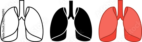 Lungs icon vector set featuring outline, solid, and color styles. Perfect for medical apps, healthcare branding, anatomy guides, clinics, and respiratory health illustrations.